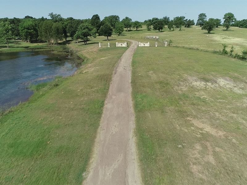 Pecan Hills : Plantersville : Grimes County : Texas