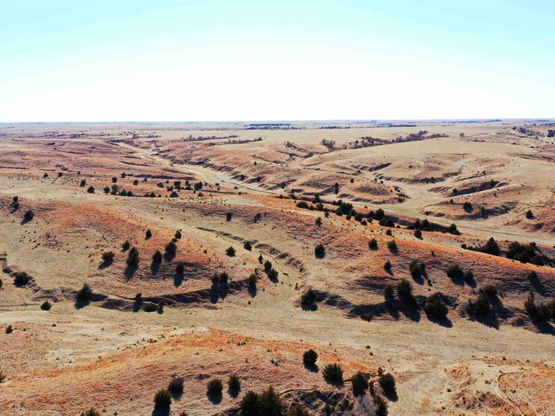 Frontier County Drycrop and Range : Curtis : Frontier County : Nebraska