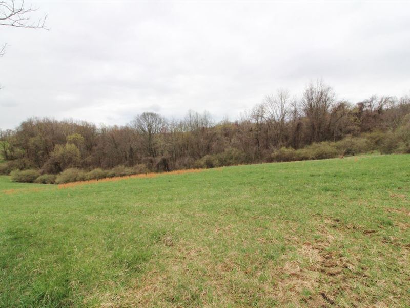 Barber Rd, 15 Acres, Guernsey Cou : Quaker City : Guernsey County : Ohio