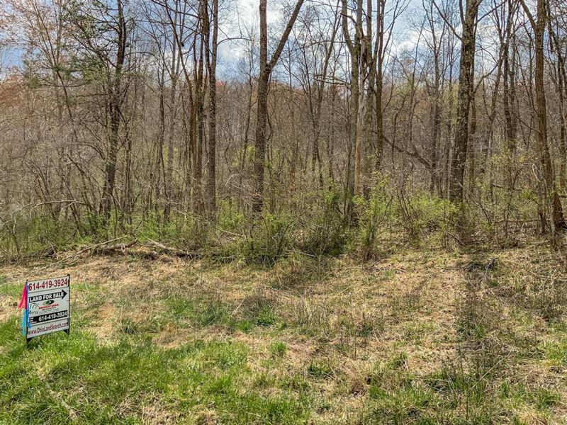 Goose Creek Rd, 17 Acres, Vinton : McArthur : Vinton County : Ohio