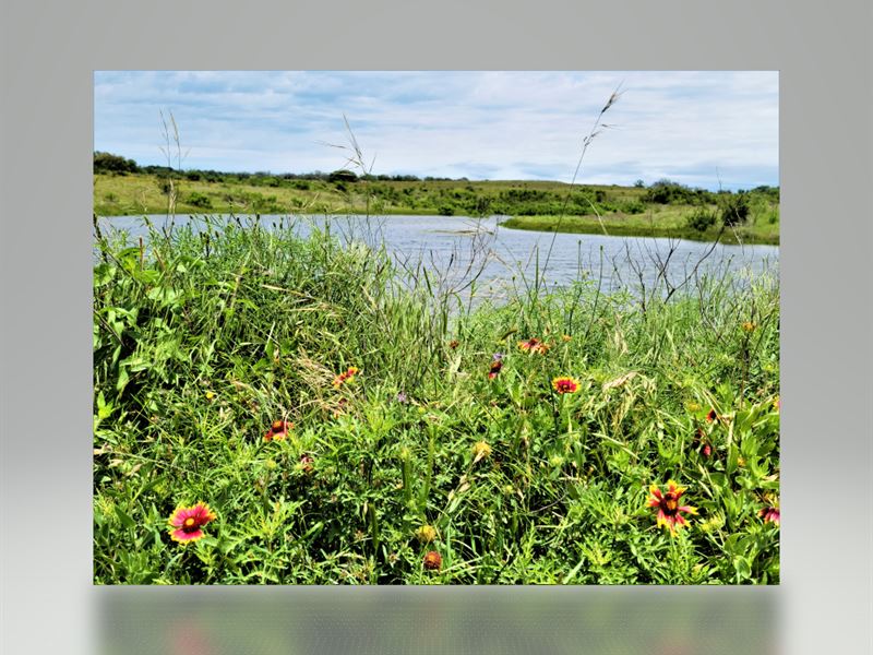 Lometa Land : Lometa : Lampasas County : Texas