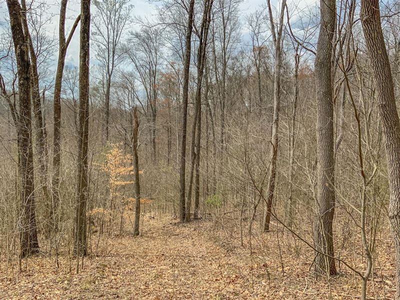 Goose Creek Rd, 24 Acres, Vinton : McArthur : Vinton County : Ohio