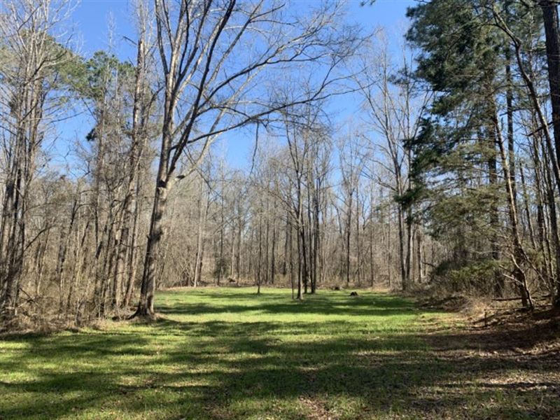 Little Creek Farm, 319.7 Acres : Fayette : Jefferson County : Mississippi