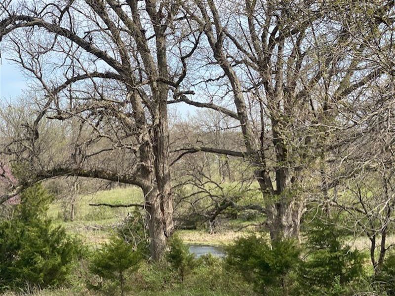 Daviess County Missouri 40 Acres : Altamont : Daviess County : Missouri