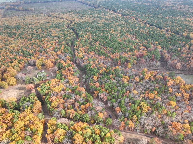 265 Acres, Cr 4223 Tract 1005 : Simms : Bowie County : Texas