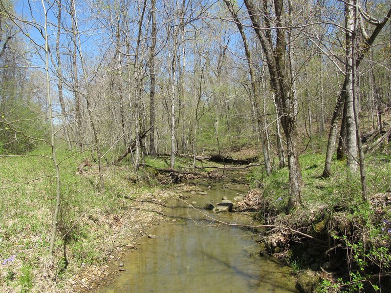 Marion Conn Tract 3 : Marion : Crittenden County : Kentucky
