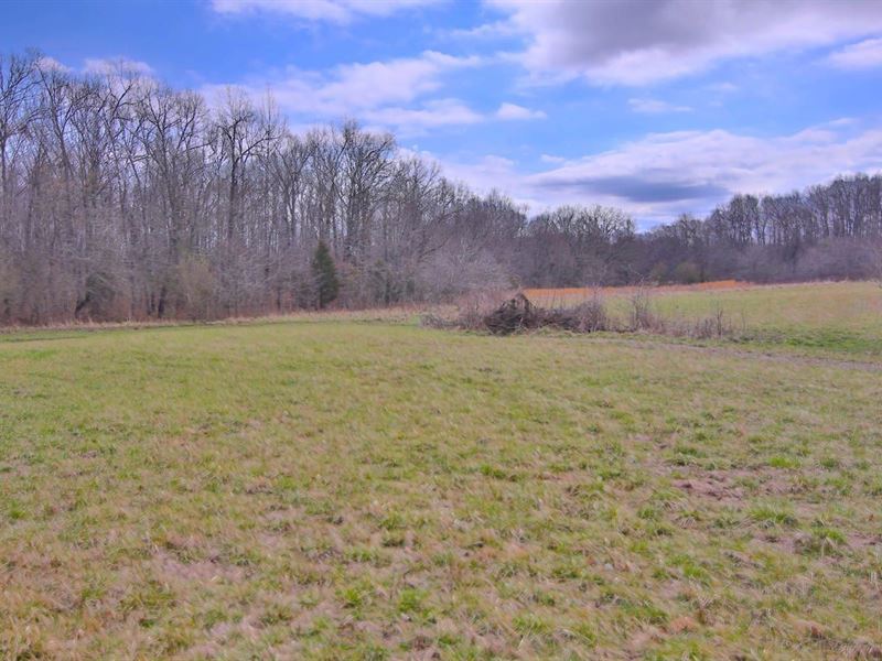 Land for Sale in Thayer, Missouri : Thayer : Oregon County : Missouri