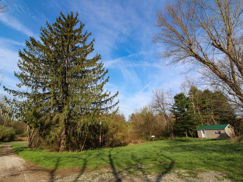McCarty Lane Tract 3, 19 Acres : New Concord : Guernsey County : Ohio