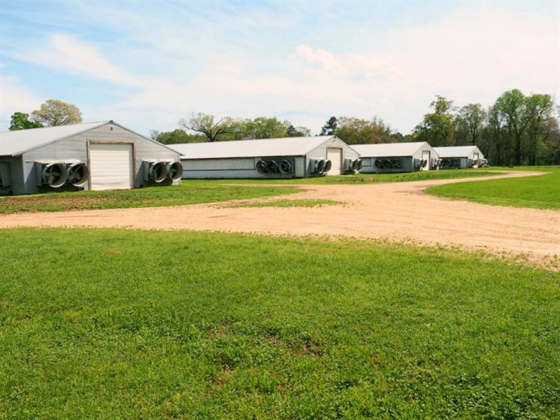6 House Broiler Poultry Farm, 4 Bed : McComb : Pike County : Mississippi