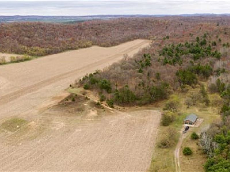 Monroe County Hunting Recreational : Sparta : Monroe County : Wisconsin