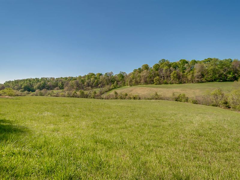 241 Ac Farm in Snow Creek Valley : Santa Fe : Maury County : Tennessee