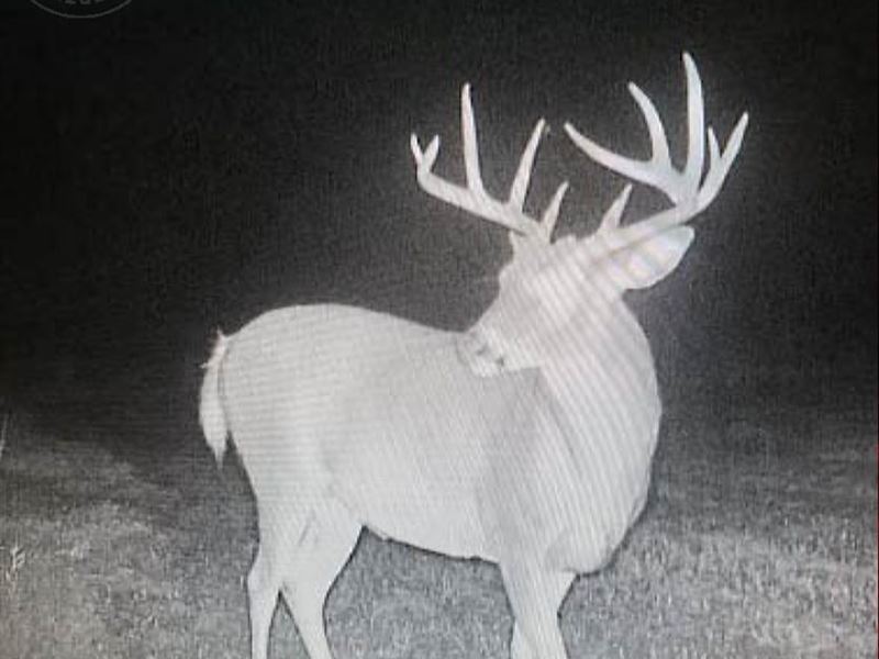 Wisconsin Dells Hunting Camp : Dell Prairie : Adams County : Wisconsin