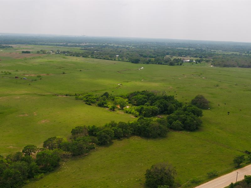 Creek with Oak Trees : Rockdale : Milam County : Texas