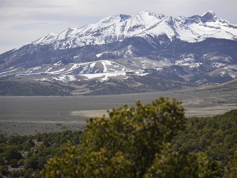 Relax and Enjoy The Beautiful Views : San Luis : Costilla County : Colorado