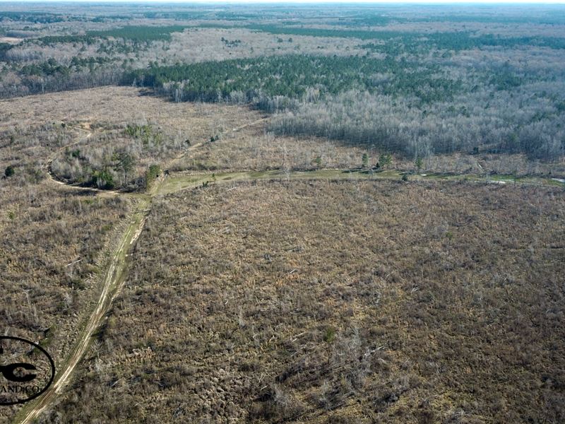 Macedonia Tract : Macon : Noxubee County : Mississippi