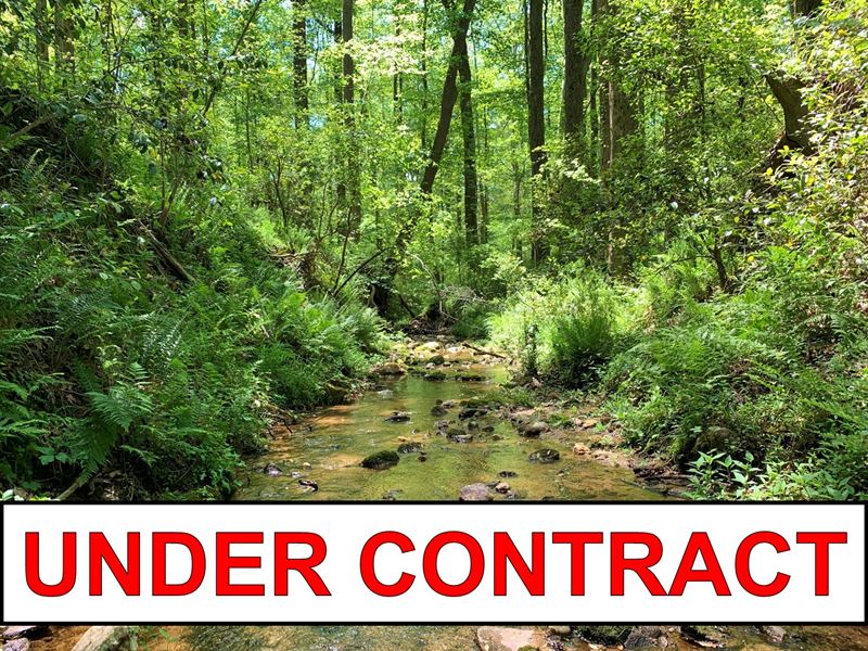 Homesite, Old Hardwood : Canon : Franklin County : Georgia