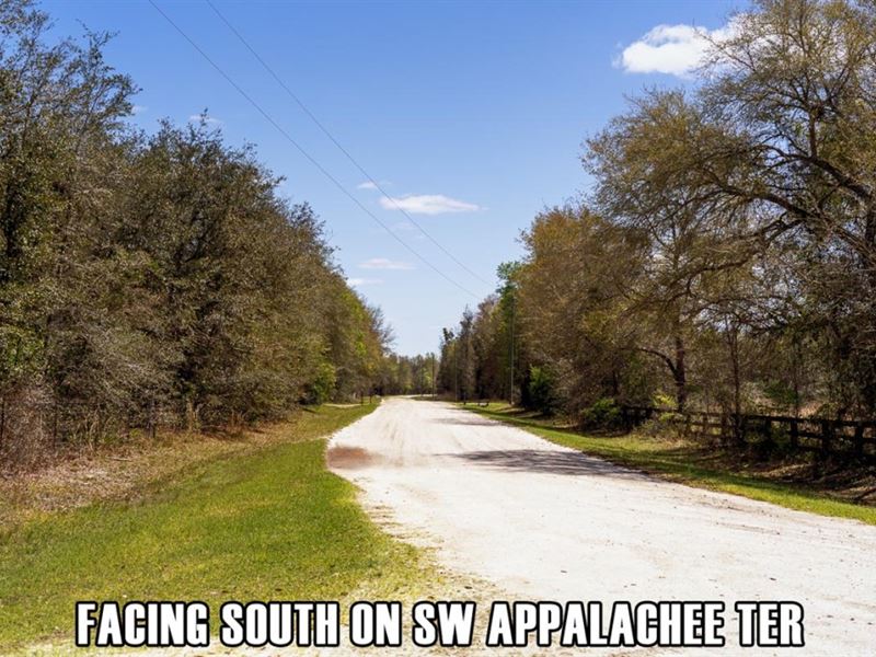 Owner Fin, 10 Acres, Mobile OK : Fort White : Columbia County : Florida