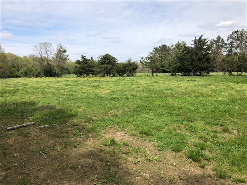Looking for Acreage in Southern VA : Dewitt : Dinwiddie County : Virginia