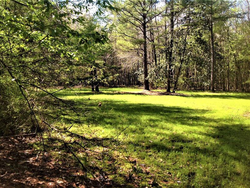 3-033 Greenbrier Creek : Grady : Montgomery County : Alabama