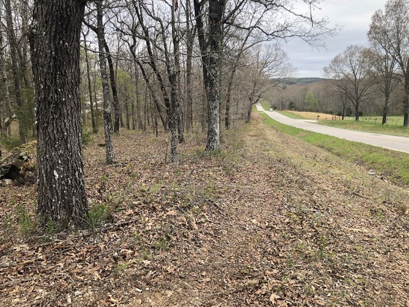 Hunting Land in Southern Missouri : Willow Springs : Howell County : Missouri