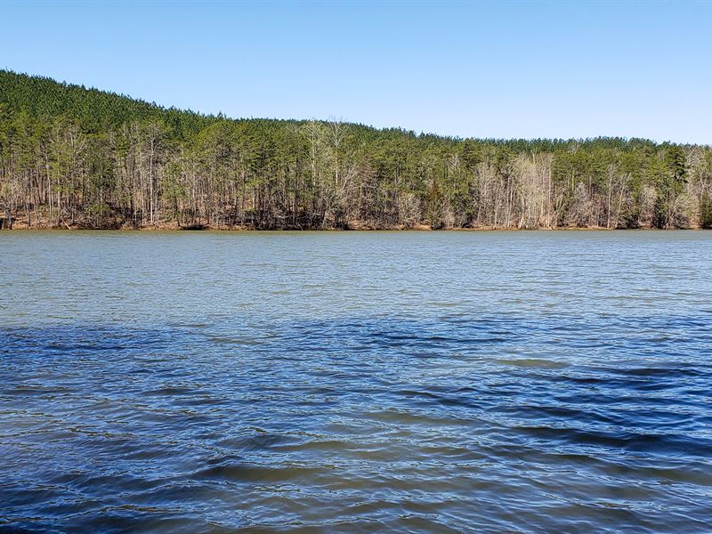 Scenic, Deepwater, Lake Frontage : Lynch Station : Bedford County : Virginia