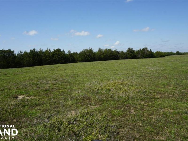 Epes Cattle Land, Timberland, Hun : Epes : Sumter County : Alabama