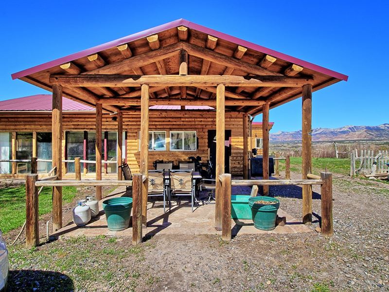Country Home with Irrigated Acreage : Collbran : Mesa County : Colorado