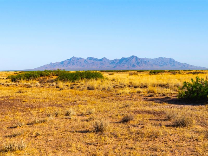 Road Access & Bordering Public Land : Columbus : Luna County : New Mexico