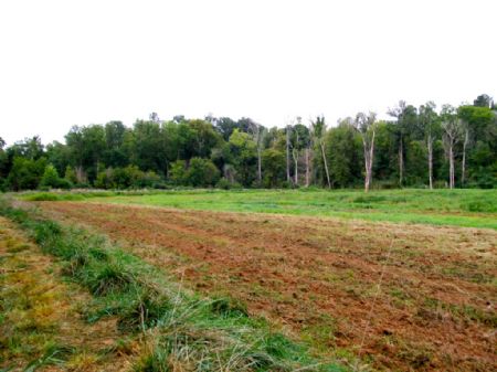 Enoree River Duck Impoundment : Union : Union County : South Carolina