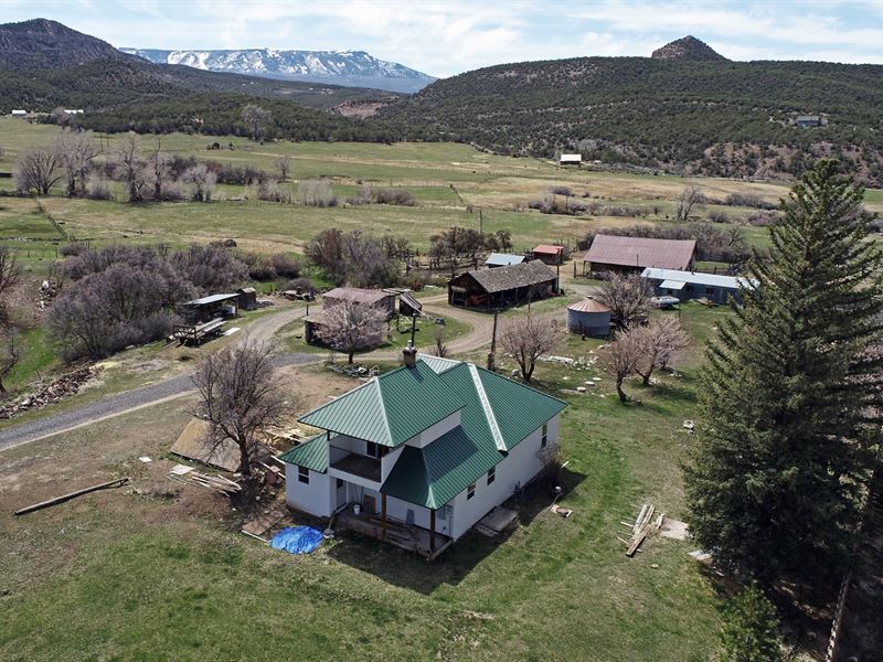 Home, Spring, Historic Outbuildings : Mesa : Mesa County : Colorado
