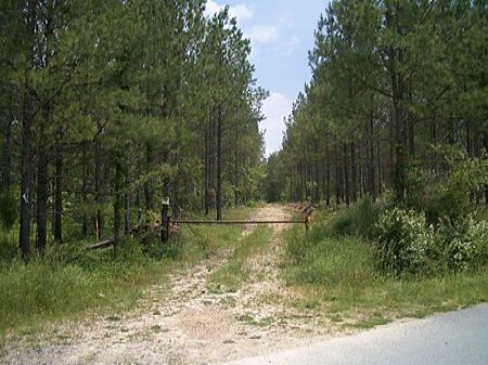 28 Ac - Tom Jones Road - 9528-2 : Kingston : Bartow County : Georgia