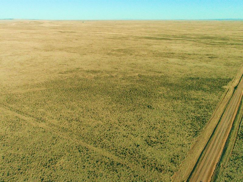 Expansive Getaway in Albany County : Medicine Bow : Albany County : Wyoming