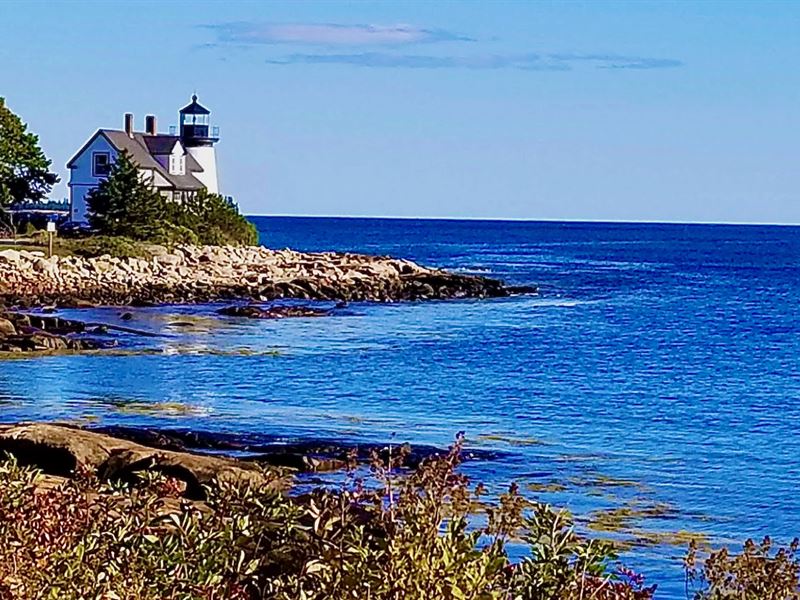 Wooded Acreage Near Ocean & Harbor : Gouldsboro : Hancock County : Maine