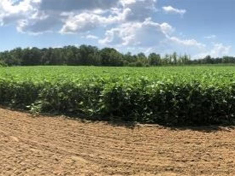 1117 Acres with A Home in Madison : Pickens : Madison County : Mississippi