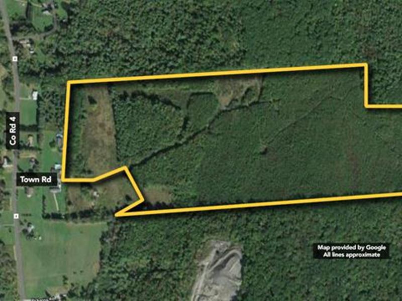 78.14 Ac in Masonville, NY : Masonville : Delaware County : New York