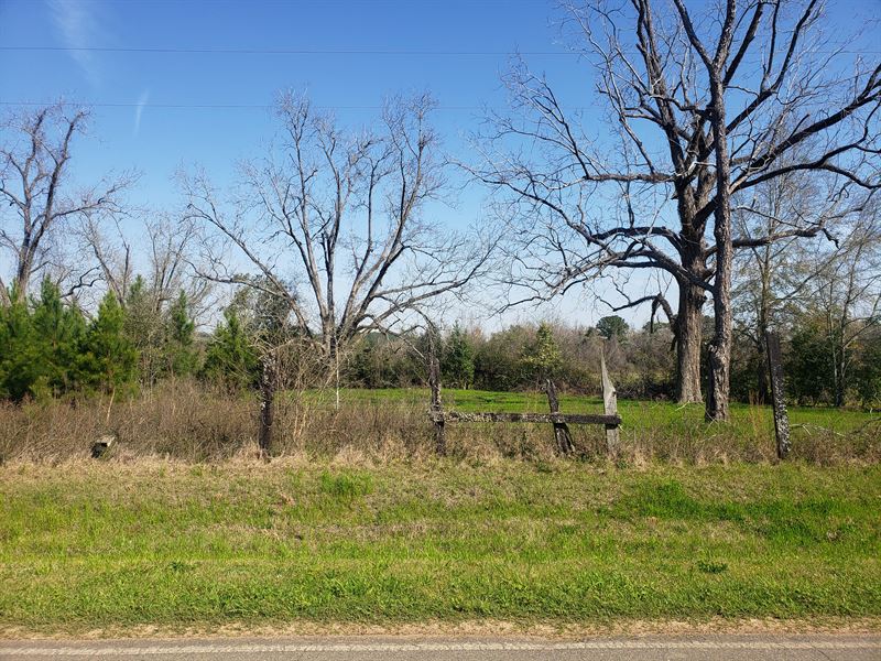 Beautiful Land with Wildlife : Boston : Thomas County : Georgia