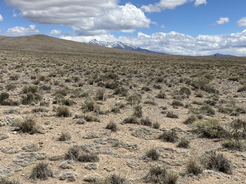 10 Secluded Acres Near Smith Res : Blanca : Costilla County : Colorado