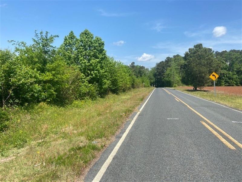 Juniper Creek Tract : Laurinburg : Scotland County : North Carolina