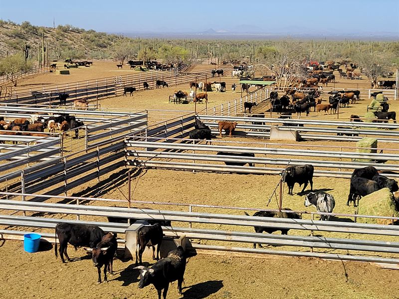40,005 Acres in Florence, Arizona : Florence : Pinal County : Arizona