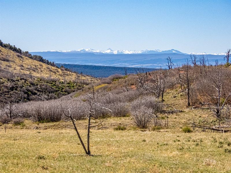 Western Colorado Off-Grid Property : Cedaredge : Delta County : Colorado