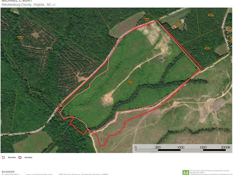 52 Acres Exceptional Land Buggs : Chase City : Mecklenburg County : Virginia