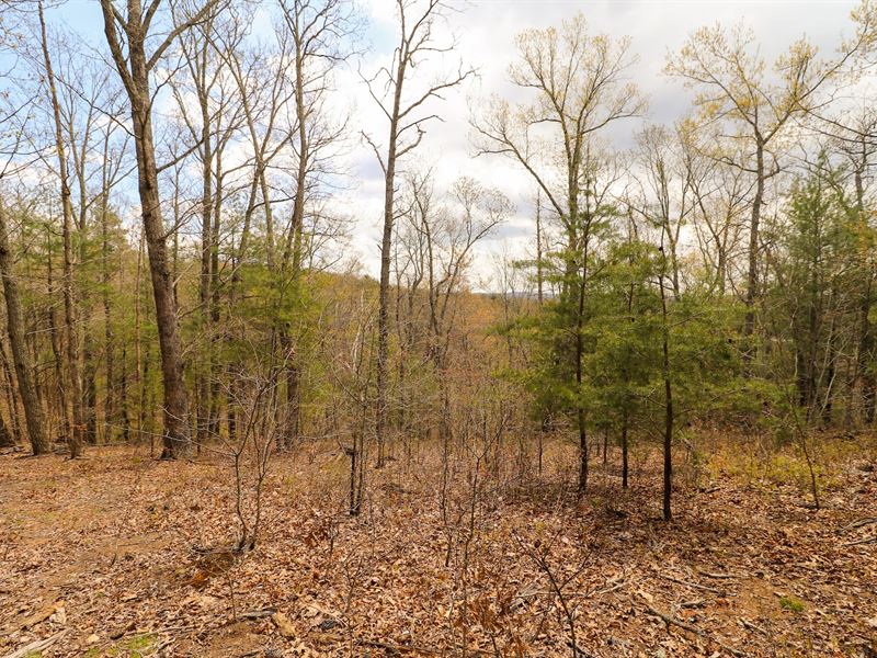 Mountain Retreat in Riner VA : Riner : Montgomery County : Virginia