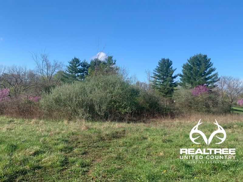Affordable Ohio Land for Sale : Albany : Vinton County : Ohio