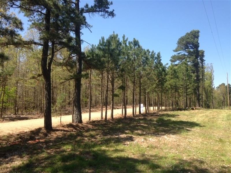 Land Joins State Park in Arkansas : Eureka Springs : Carroll County : Arkansas