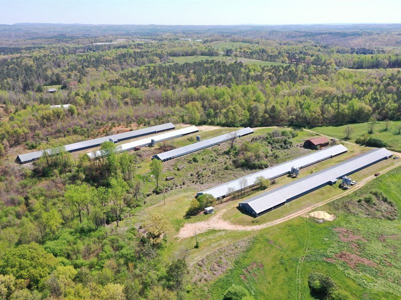 Seminole Farm, Clay County, AL : Delta : Clay County : Alabama
