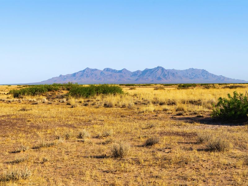 Ranch Bordering Public Land : Columbus : Luna County : New Mexico