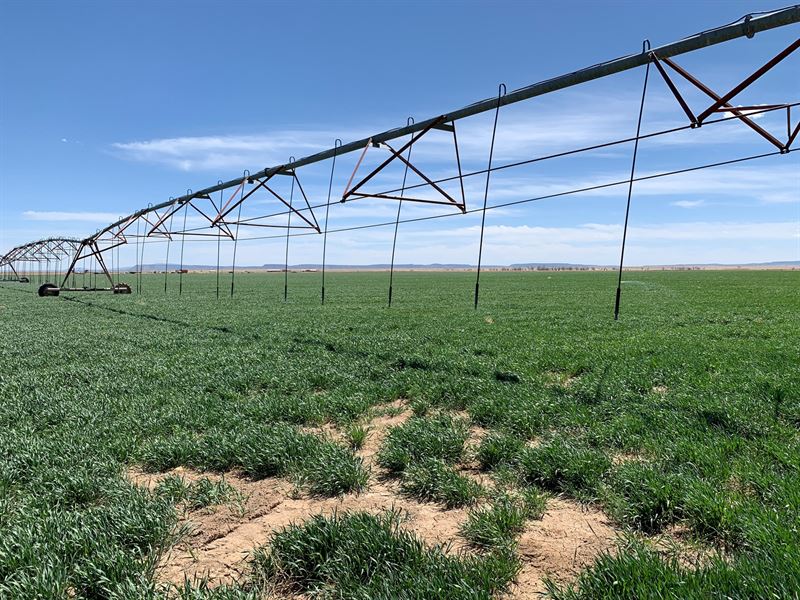 Farm Located Central New Mexico : Estancia : Torrance County : New Mexico