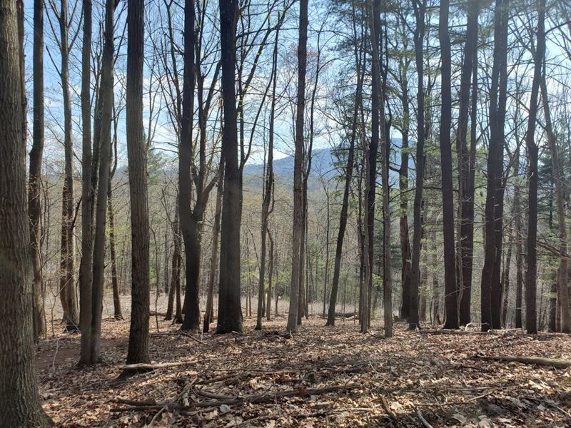 12.45 Acres in Roanoke County : Roanoke : Roanoke County : Virginia