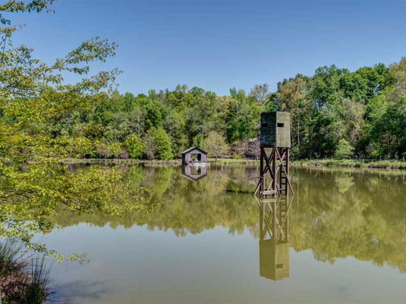 Calebee Creek Farms : Shorter : Macon County : Alabama