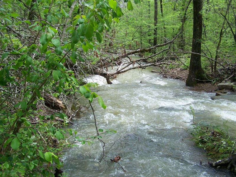 Hunting / Recreational Land & Creek : Leslie : Searcy County : Arkansas